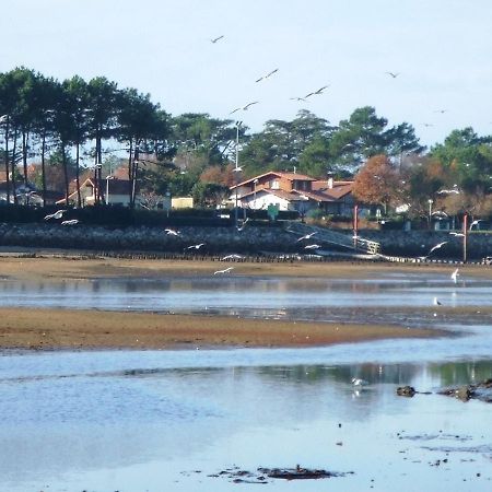 Les Coquillages Lägenhet Mimizan-Plage Exteriör bild