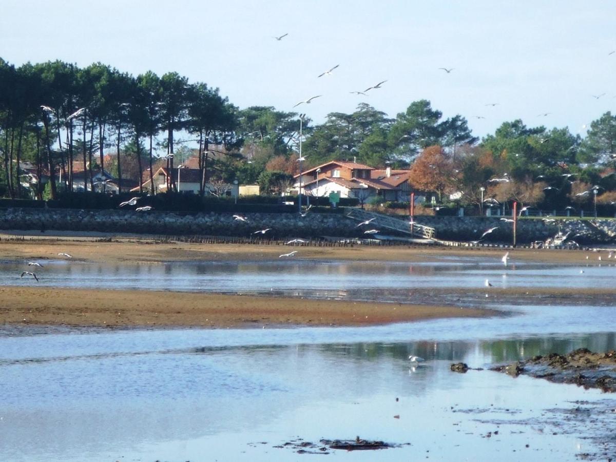 Les Coquillages Lägenhet Mimizan-Plage Exteriör bild